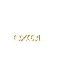 EXCEL (2)